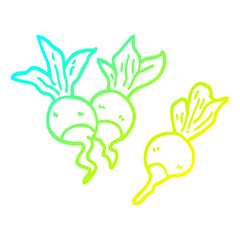 cold gradient line drawing cartoon healthy radish