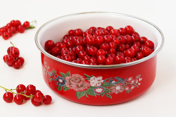 Red currant is located in a container on a white background, horizontal photo