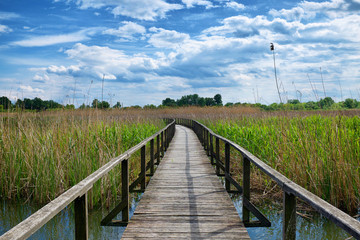 Wooden walkway in at Tisza lake in Hungary