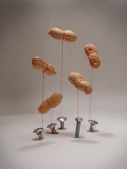 peanuts floating in the air