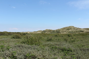 Blick über die Dünenlandschaft der Nordseeinsel Amrum