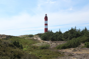 Blick auf den Leuchtturm  der Nordseeinsel Amrum