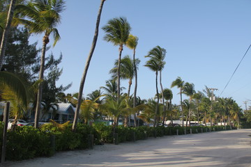 Obraz premium tropical island summer beach sun