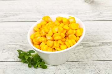 Young sweet corn