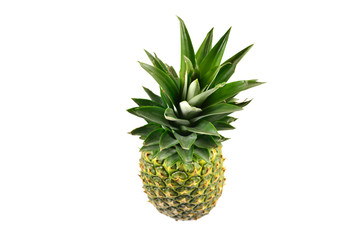 Fototapeta premium Pineapple isolated on white.