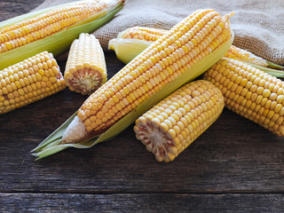 Corn cobs on rustic wooden background