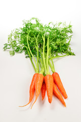 Fresh orange carrot on a white background.