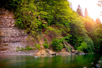 mountain river, landscape in the Carpathian Mountains, view on the rock