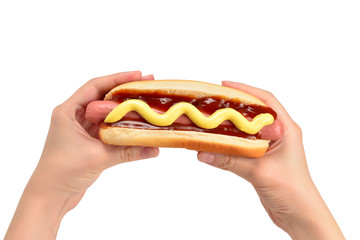 Hot dog in woman hand isolated on white background. Copy space.