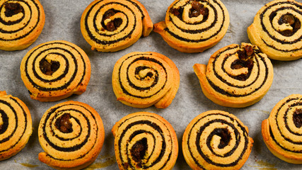 Fototapeta premium Baked cookies with raisins and poppy seeds on a trail.