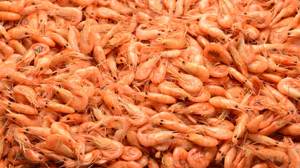Tasty fresh shrimps as background.