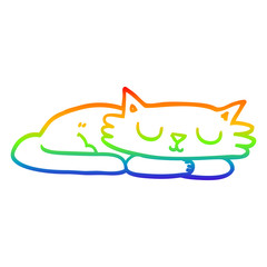 rainbow gradient line drawing cartoon sleeping cat
