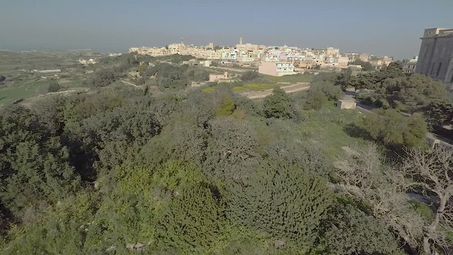 Aerial view of fields with trees and grass, town in the distance