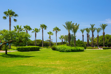 Beautiful pathway with palm trees at the beach of Turkey