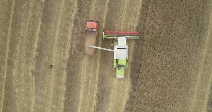 Camera Rises Fast Over Modern Combine Harvester Pouring Ripe Wheat Into Red Lorry In Yellow Field