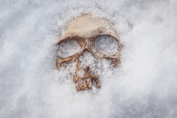  skull covered with snow and ice.  human skull. buried human remains
