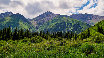 Fototapeta na wymiar Panorama of the mountain valley in the summer. Amazing nature, mountains, lit by the sun in clear weather, summer in the mountains. Travel, tourism, beautiful background, a picture of nature
