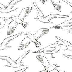 Seamless vector pattern with hand drawn seagulls