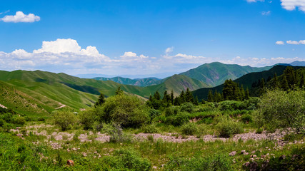 Naklejka na ściany i meble Panorama of the mountain valley in the summer. Amazing nature, mountains, lit by the sun in clear weather, summer in the mountains. Travel, tourism, beautiful background, a picture of nature
