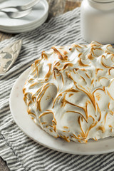 Homemade Toasted Baked Alaska