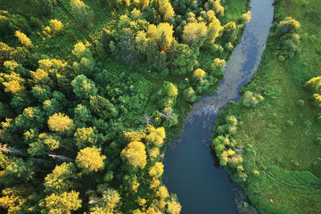 Forest with a winding river at sunset. Aerial photography with a drone.