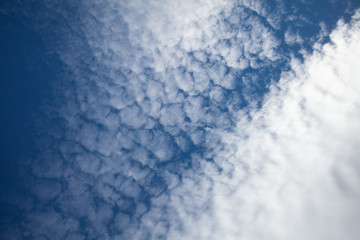 Beautiful view of hight blue sky with clouds. Happiness and freedom. Concept of climate, weather, environment. Background for design. Copy space.