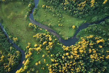 Forest with a winding river at sunset. Aerial photography with a drone.