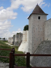 Cit&eacute; m&eacute;di&eacute;val de Provins