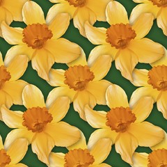 Obraz na płótnie Canvas Narcissus Seamless Texture