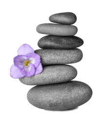 Stack of grey spa stones and fresh flower isolated on white