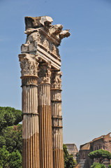 Roma, le rovine dei Fori imperiali