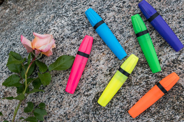 Soon to school. A set of colored markers and sprigs of rose flower on a background of granite stone.