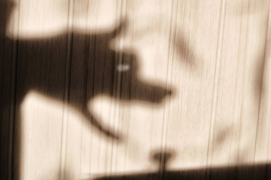 Shadow Hands In The Form Of A Wolf. Woman Hand In The Shape Of A Wolf. Fingers Show A Dog On A Wooden Background.