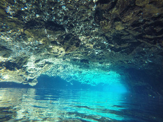 Underwater view of Cenotes Turtle House Tulum in Yucatan, Mexico
