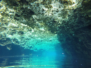 Underwater view of Cenotes Turtle House Tulum in Yucatan, Mexico