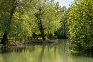 Fototapeta na wymiar Calm and peaceful river in the park by Postojnska Jama in Slovenia