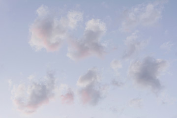 dawning gray with pink from the rising sun cumulus clouds on pale blue sky gentle soft