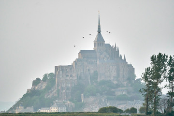 Mont St Michel with seagull crown