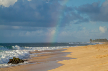 Tropical Beach with a Rainbow