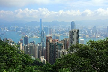 Fototapeta premium skyscrapers in the bay of hongkong