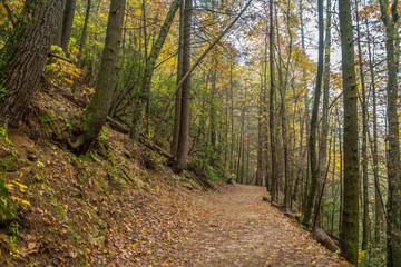 Trail in the mountains in autumn