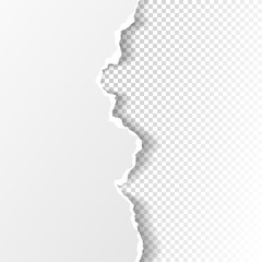 Piece of torn white paper strip with soft shadow is on grey squared background. Vector illustration