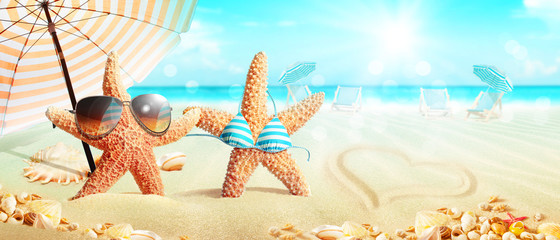 Fototapeta premium Strand Motiv mit Seestern und Muscheln