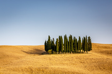 Obraz premium Typical view of countryside, Tuscany, Italy