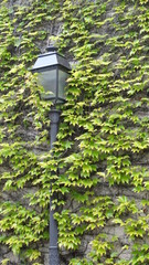 lampadaire