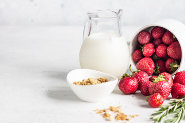 Healthy breakfast ingredients. Homemade granola, milk or yogurt in jugs, strawberries and rosemary on light stone background.