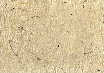 old paper with herbarium texture