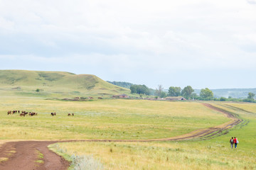 Two young girls small figures with backpacks on a rural road. Horse farm pasture with mare and foal. Small village with old houses and farm. Summer landscape with green hills