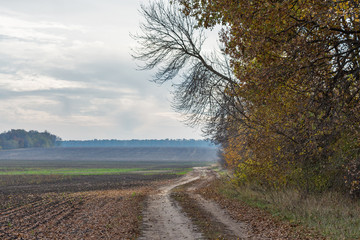Cloudy autumn landscape with dirt road in field