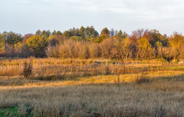 Ros river autumn landscape, Ukraine.